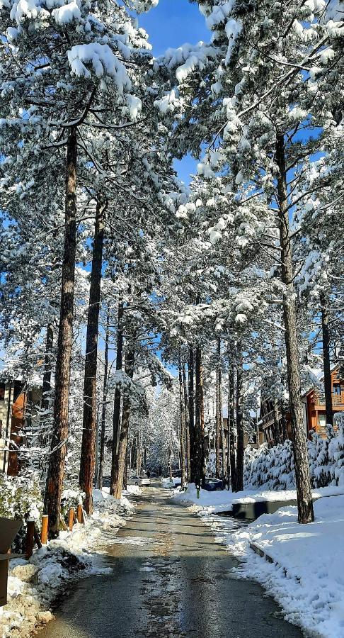 Apartment Erak Hill Zlatibor Eksteriør bilde